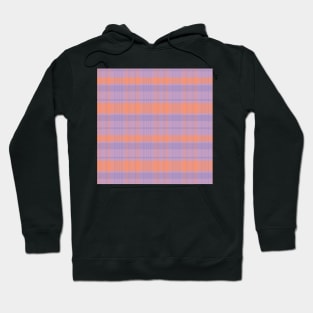 Spring Aesthetic Calan 1 Hand Drawn Textured Plaid Pattern Hoodie